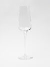 Premium Champagne Flute 21cl